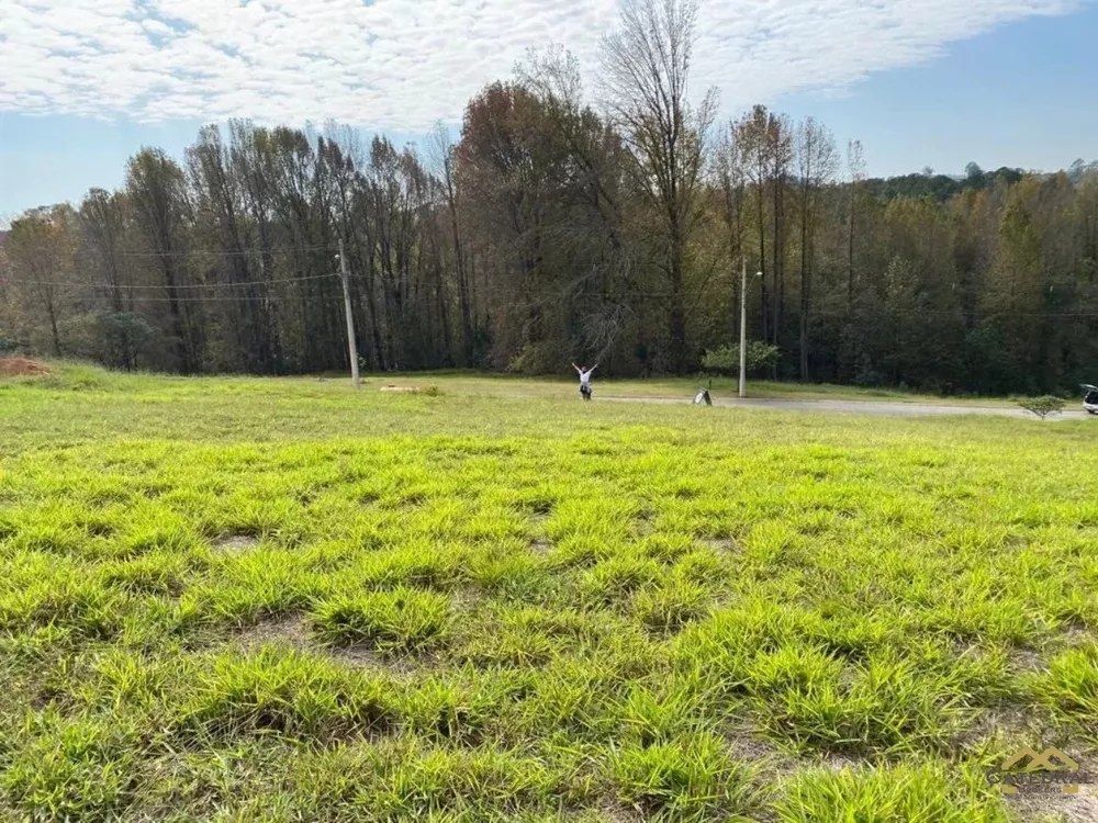 Terreno à venda, 1000m² - Foto 1