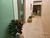 Casa, 3 quartos, 250 m² - Foto 7