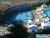 Apartamento, 1 quarto, 44 m² - Foto 1