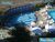 Apartamento, 2 quartos, 69 m² - Foto 16