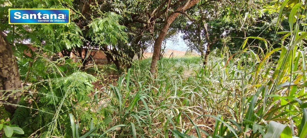 Terreno, 1800 m² - Foto 5