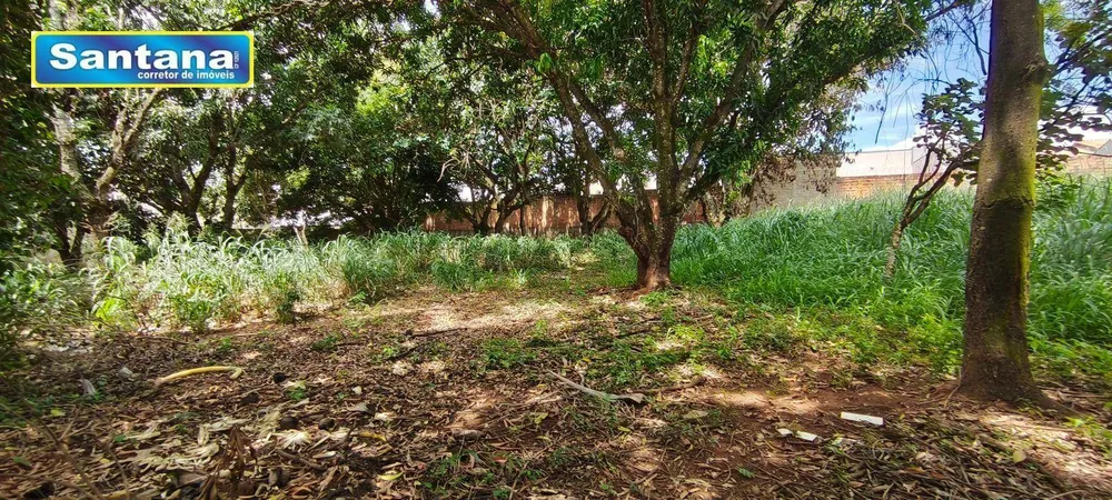 Terreno, 1800 m² - Foto 7