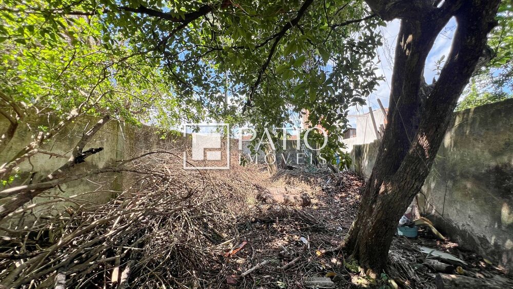 Casa, 4 quartos, 564 m² - Foto 22