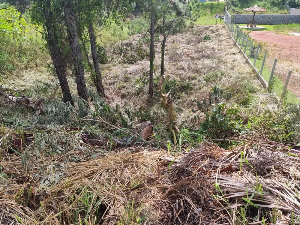 Terreno à venda, 620m² - Foto 7