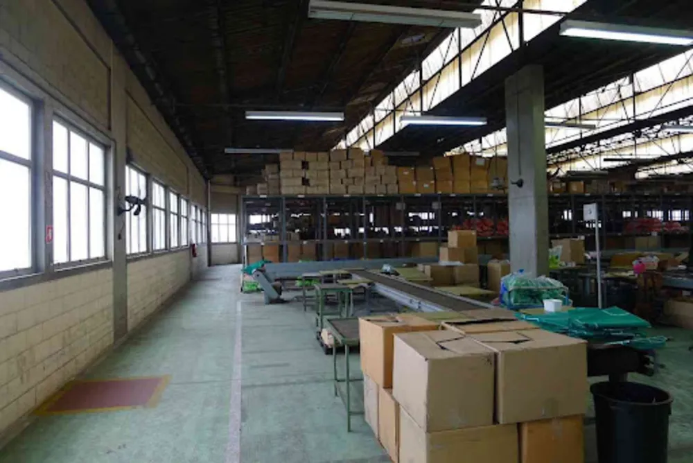 Depósito-Galpão, 8701 m² - Foto 5