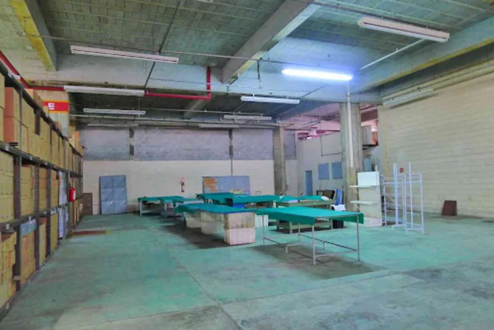 Depósito-Galpão, 8701 m² - Foto 3