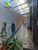 Casa, 6 quartos, 310 m² - Foto 1