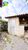 Casa, 2 quartos, 100 m² - Foto 8