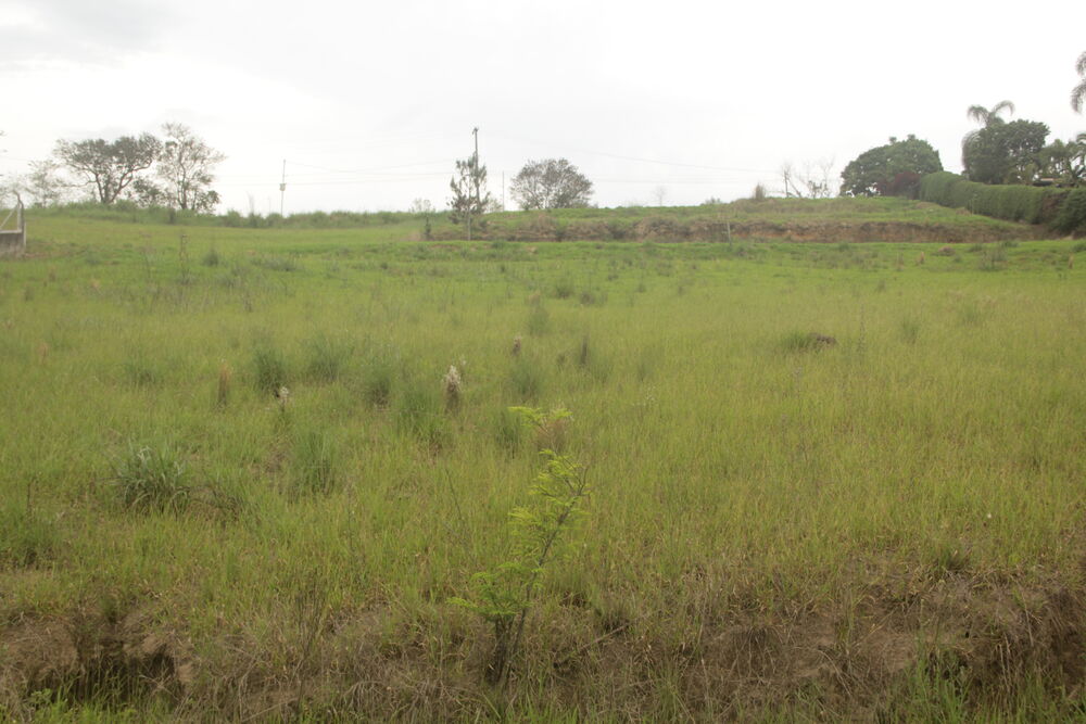 Terreno à venda - Foto 2