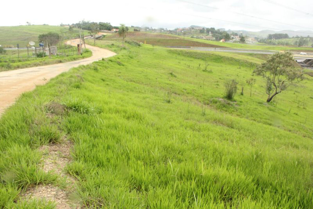 Terreno à venda - Foto 4