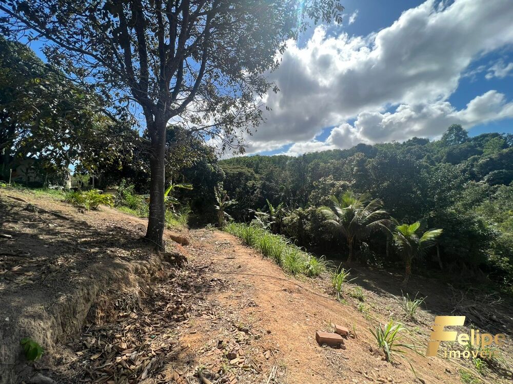 Terreno, 5000 m² - Foto 3