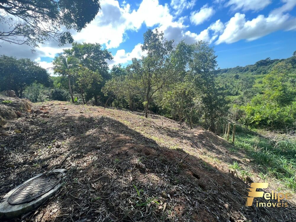 Terreno, 5000 m² - Foto 4