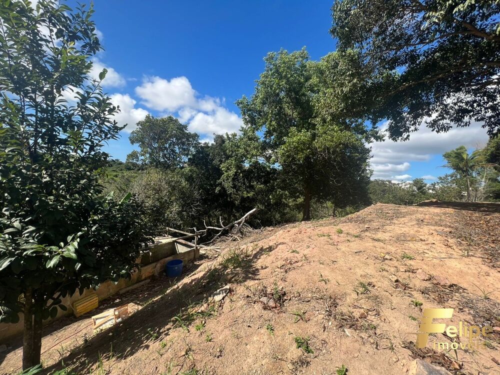 Terreno, 5000 m² - Foto 2