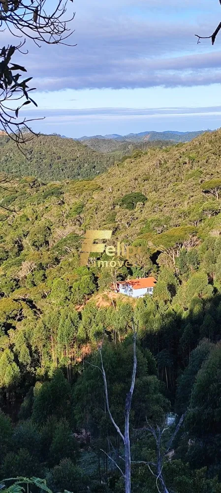 Chácara, 2 quartos, 3000 m² - Foto 2