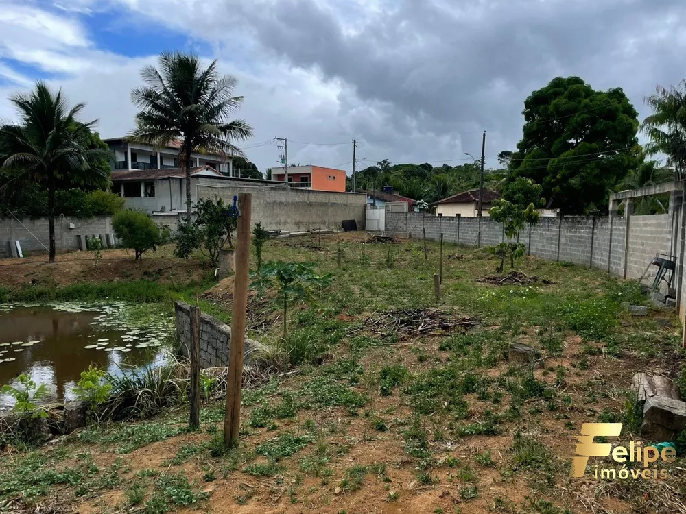 Chácara à venda com 1 quarto, 2000m² - Foto 4