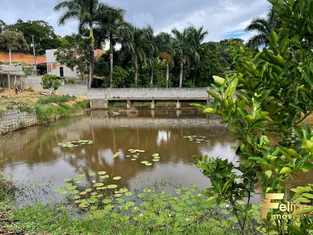 Chácara à venda com 1 quarto, 2000m² - Foto 7