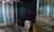 Apartamento, 4 quartos, 540 m² - Foto 16