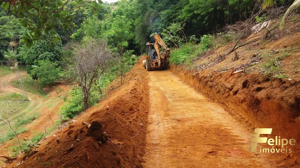 Chácara à venda com 1 quarto, 7000m² - Foto 6