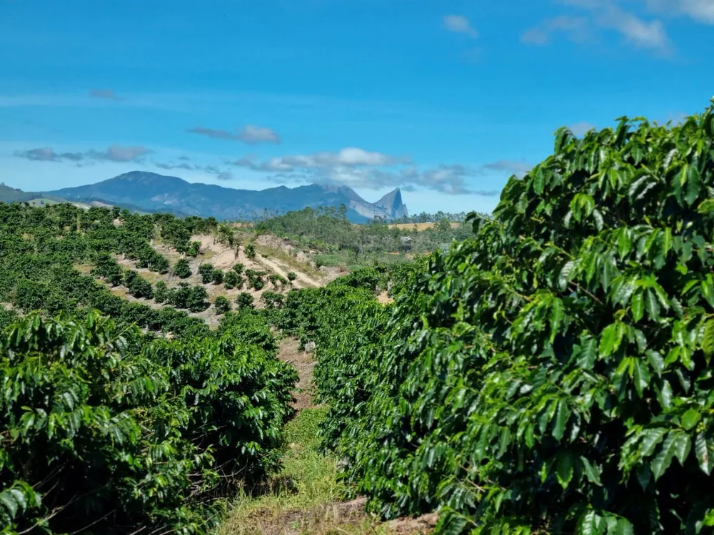 Fazenda à venda com 1 quarto, 14m² - Foto 5