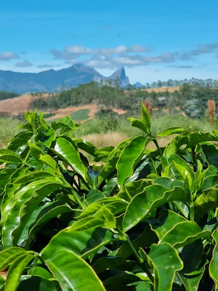 Fazenda à venda com 1 quarto, 14m² - Foto 3