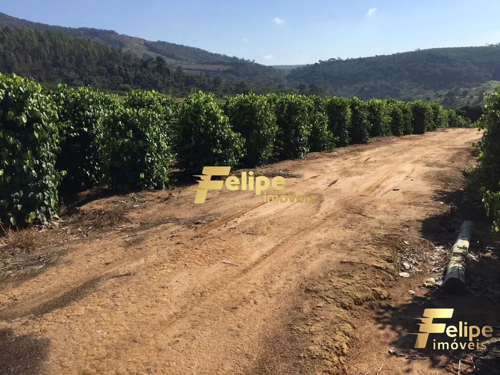 Fazenda, 55 m² - Foto 23