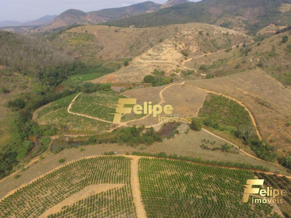 Fazenda à venda com 1 quarto, 55m² - Foto 2