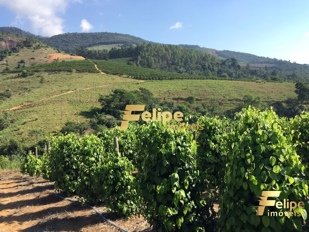 Fazenda, 55 m² - Foto 15