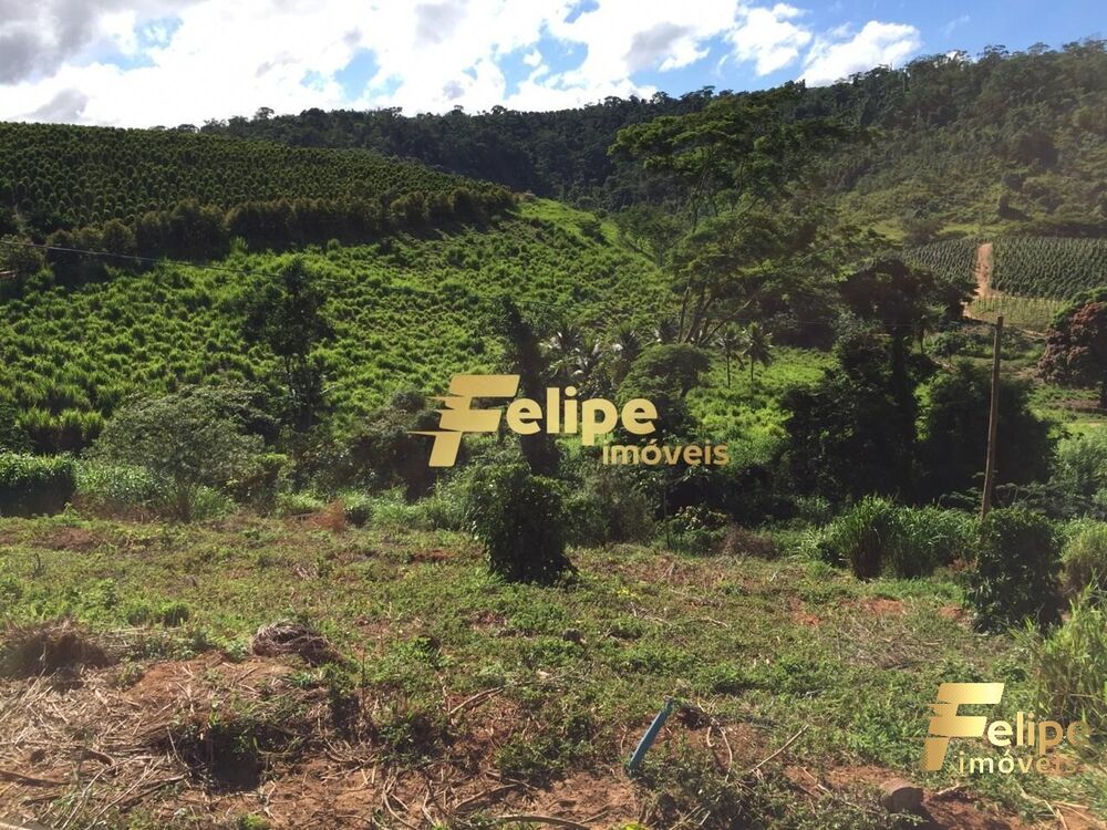 Fazenda à venda com 1 quarto, 55m² - Foto 3