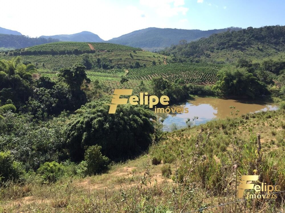 Fazenda à venda com 1 quarto, 55m² - Foto 6