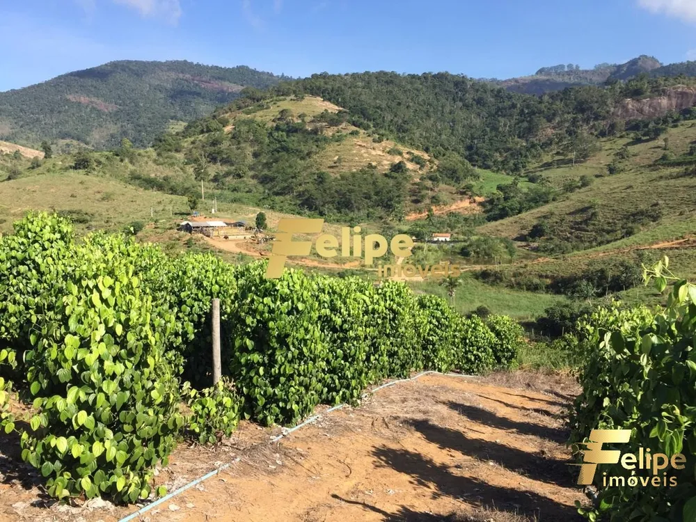 Fazenda, 55 m² - Foto 33