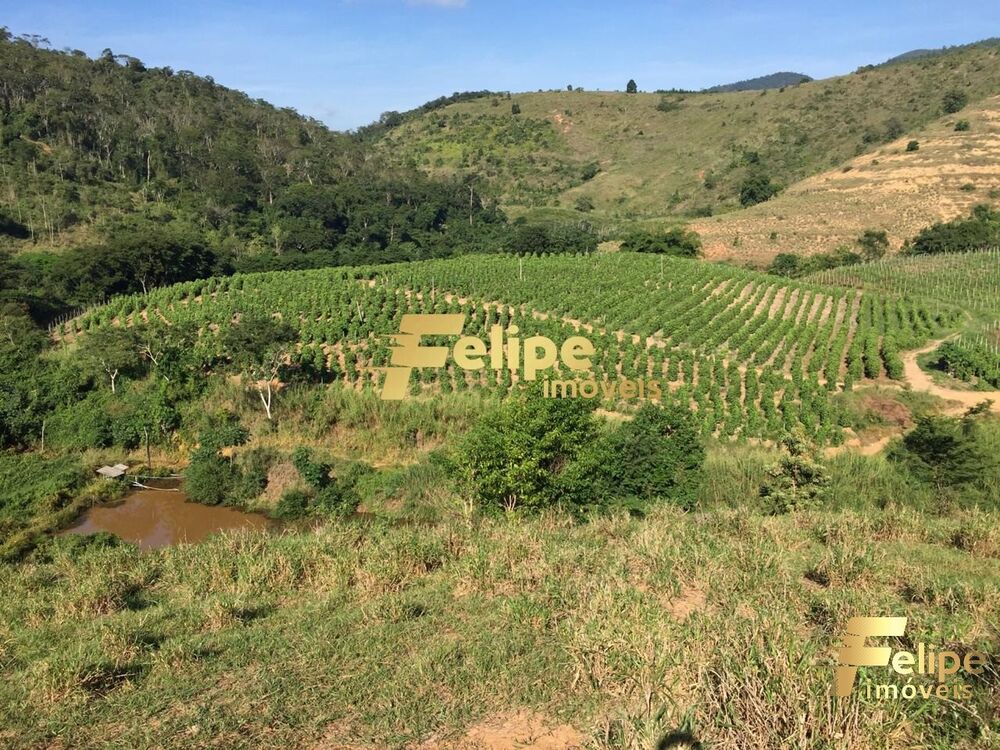 Fazenda à venda com 1 quarto, 55m² - Foto 7