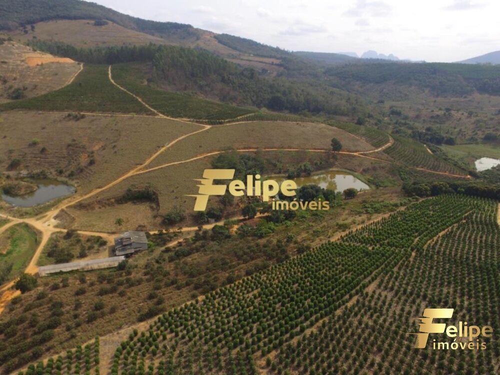 Fazenda à venda com 1 quarto, 55m² - Foto 5
