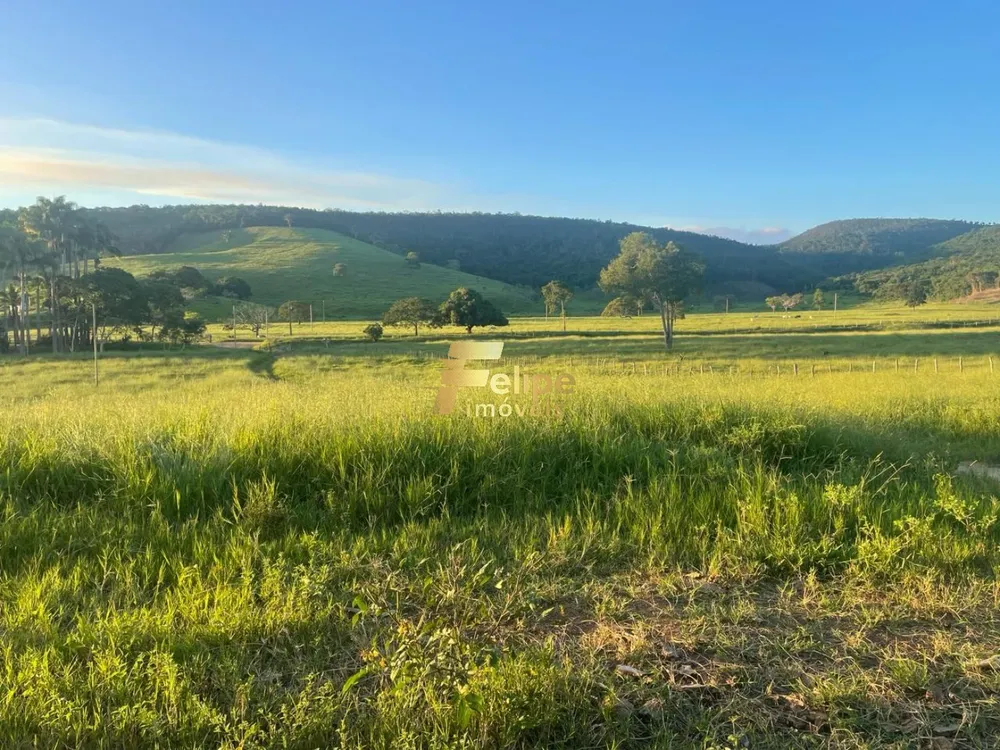 Fazenda, 272 m² - Foto 3