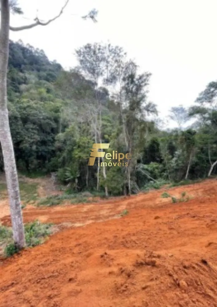 Loteamento e Condomínio, 1200 m² - Foto 1