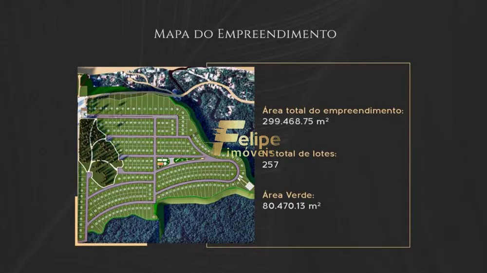 Terreno, 1534 m² - Foto 6