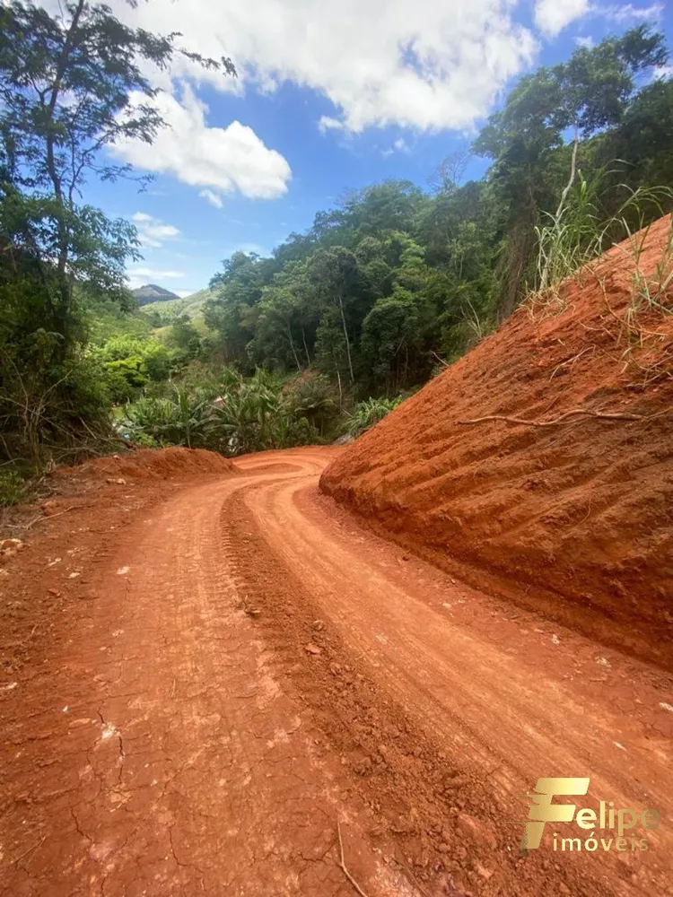 Sítio à venda com 1 quarto, 20000m² - Foto 6