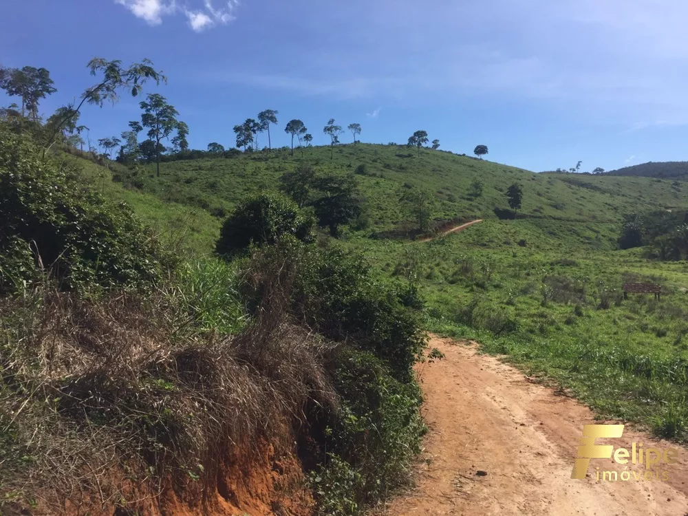 Fazenda à venda com 1 quarto, 113m² - Foto 20