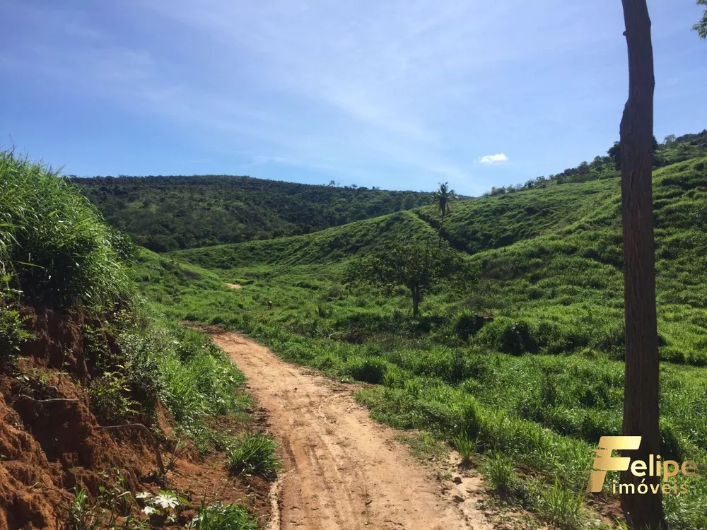 Fazenda à venda com 1 quarto, 113m² - Foto 9