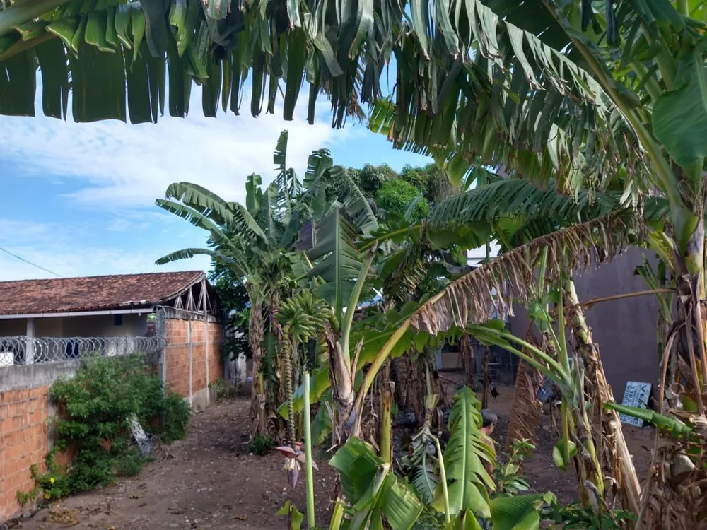 Terreno, 360 m² - Foto 5