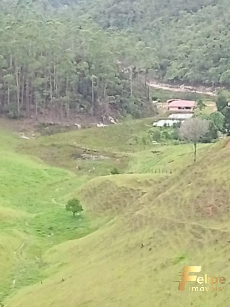 Fazenda à venda com 5 quartos, 656000m² - Foto 7