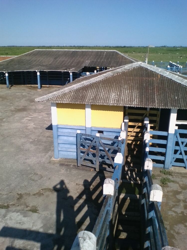 Fazenda, 310 m² - Foto 9