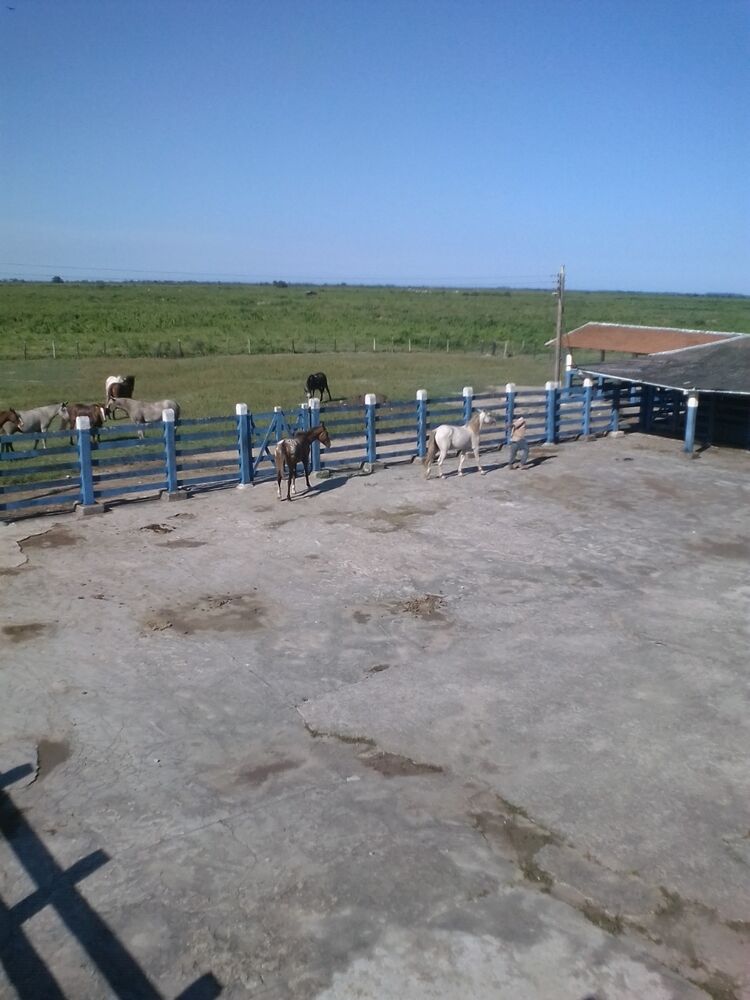 Fazenda, 310 m² - Foto 22