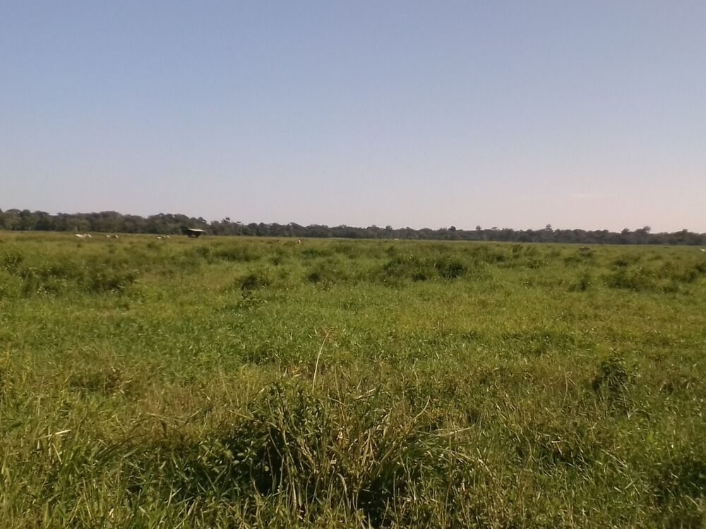 Fazenda, 310 m² - Foto 7