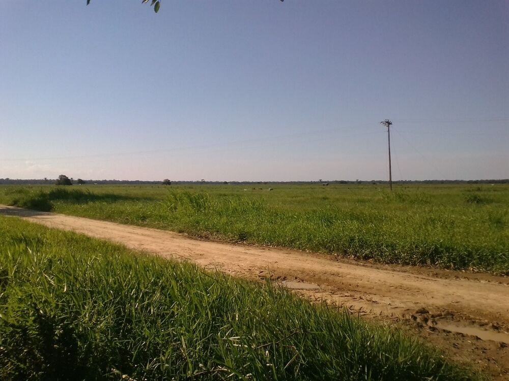 Fazenda, 310 m² - Foto 4