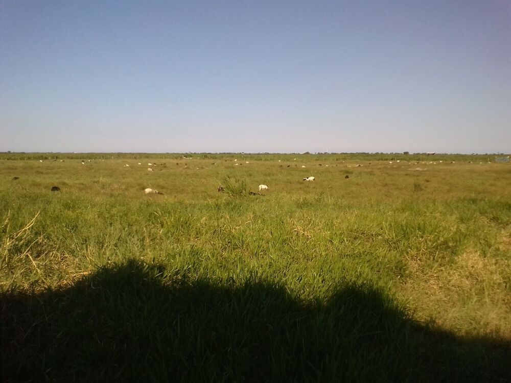 Fazenda, 310 m² - Foto 19