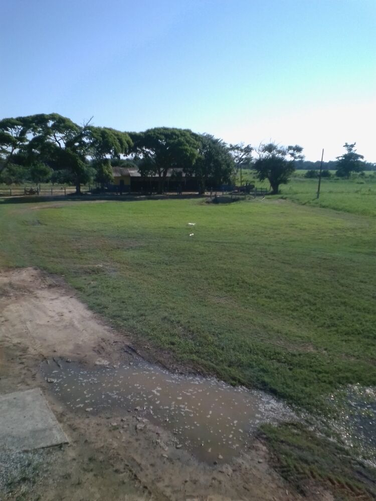 Fazenda, 310 m² - Foto 24