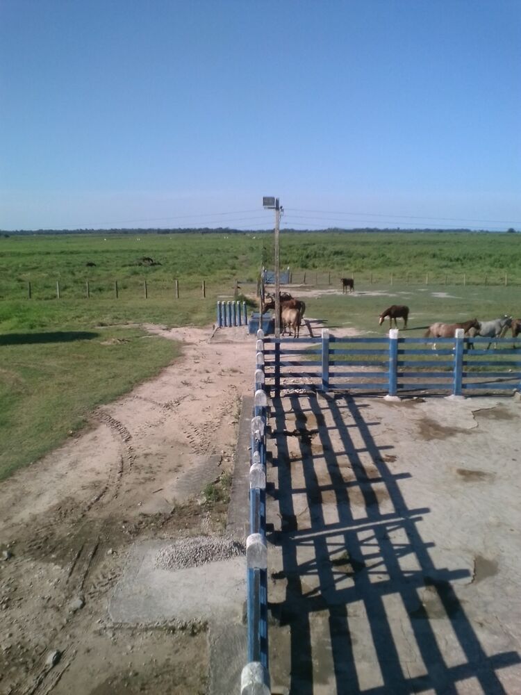 Fazenda, 310 m² - Foto 21