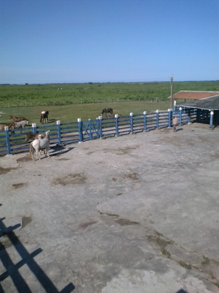 Fazenda, 310 m² - Foto 12