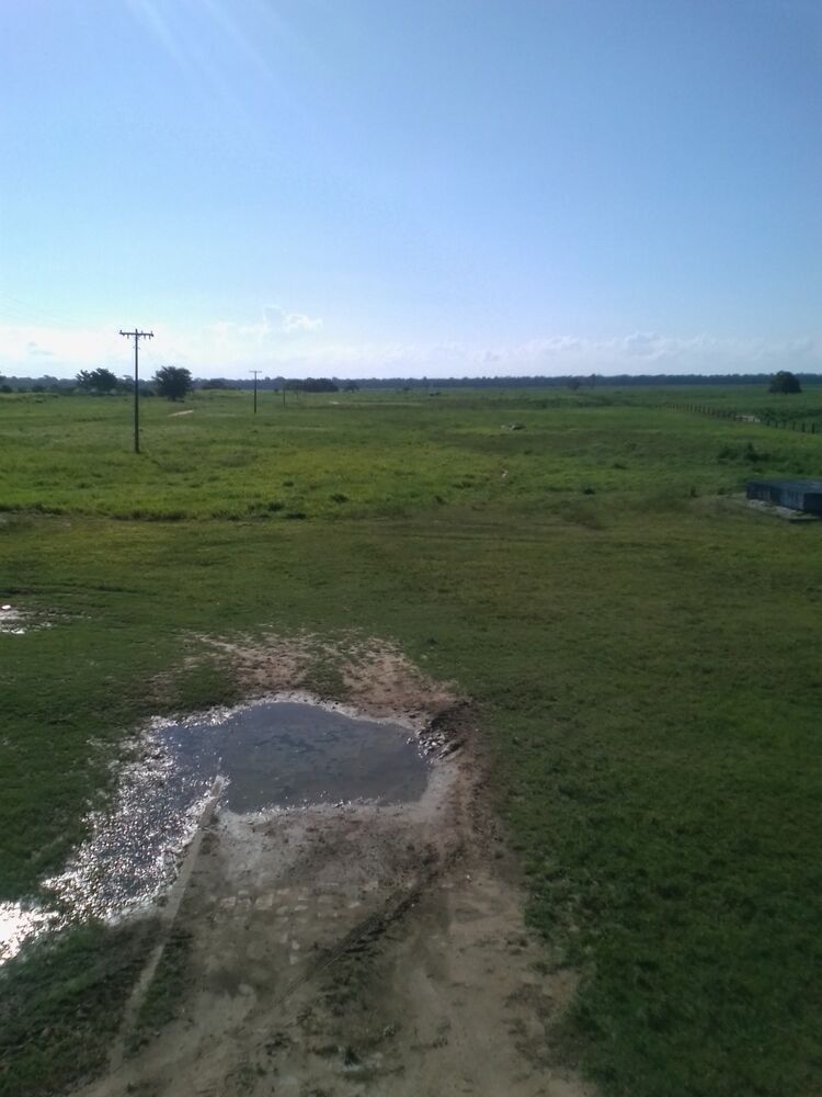 Fazenda, 310 m² - Foto 20