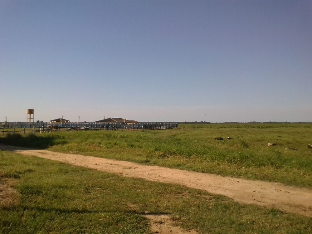 Fazenda, 310 m² - Foto 13